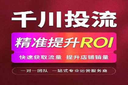 SEM广告案例：数据分析驱动营销决策